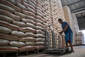 Stok beras Indonesia tembus 4,2 juta ton