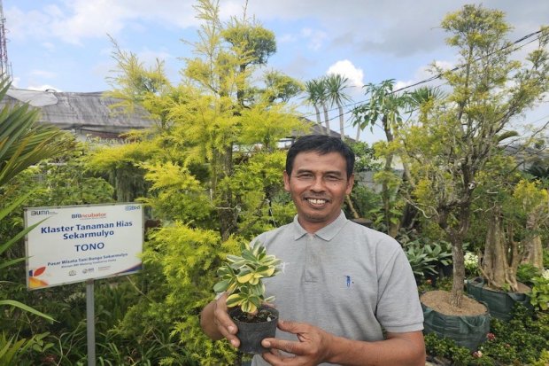 Klaster Tanaman Hias Binaan BRI