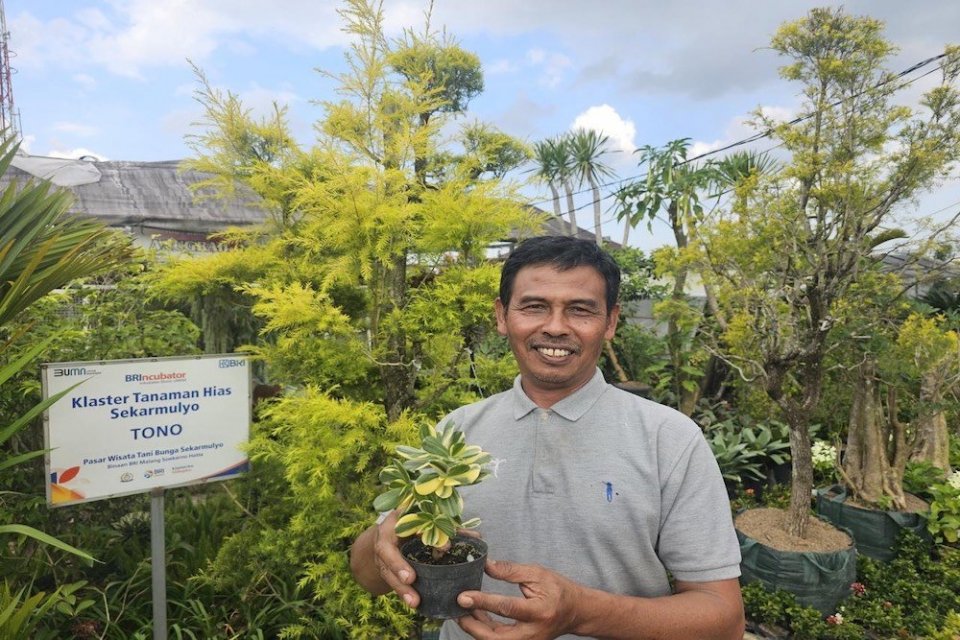 Usaha tanaman hias binaan BRi