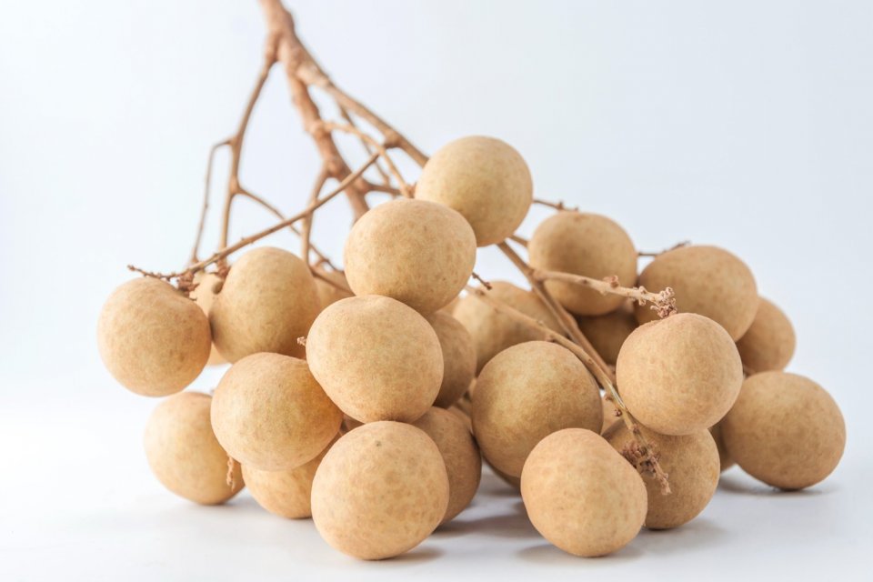 Manfaat Buah Kelengkeng bagi Kesehatan