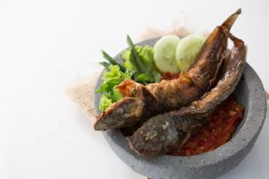 Manfaat Ikan Lele untuk Ibu Hamil