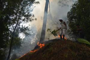 Karhutla di Solok