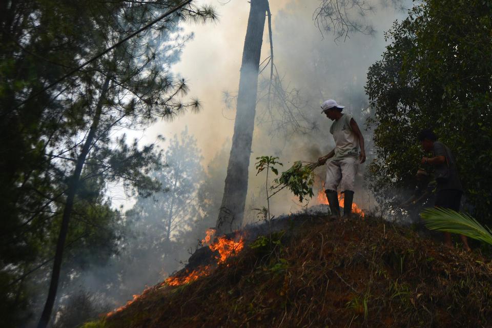 kebakaran, karhutla, Solok