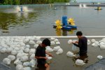 Tambak udang Aquarev
