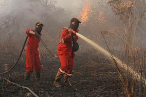 Pemadaman Kebakaran Lahan Gambut di Desa Rimbo Panjang