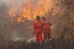 Pemadaman Kebakaran Lahan Gambut di Desa Rimbo Panjang