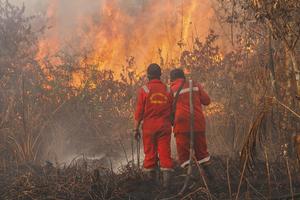 Pemadaman Kebakaran Lahan Gambut di Desa Rimbo Panjang