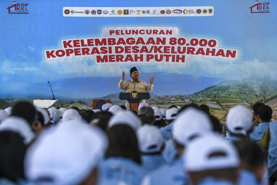 prabowo, makan bergizi gratis, mbg