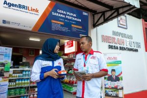 AgenBRILink