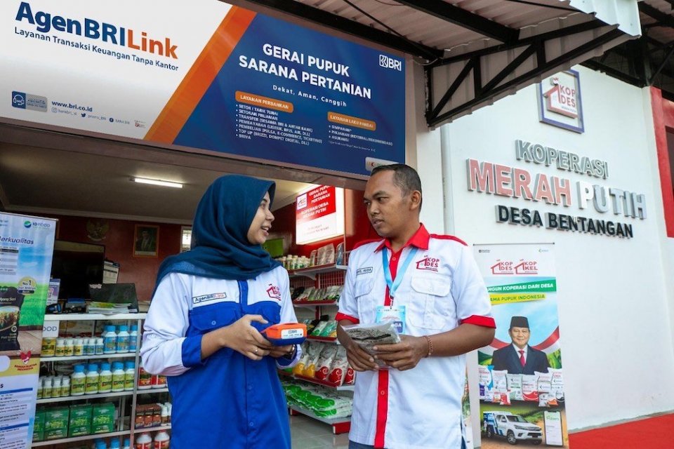 koperasi