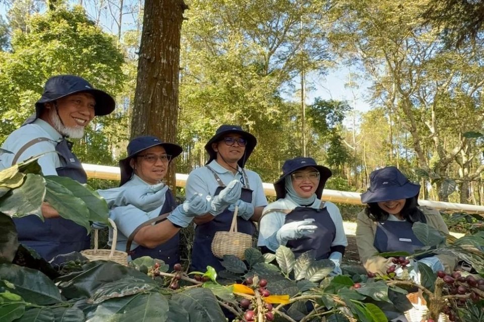 Petani kopi