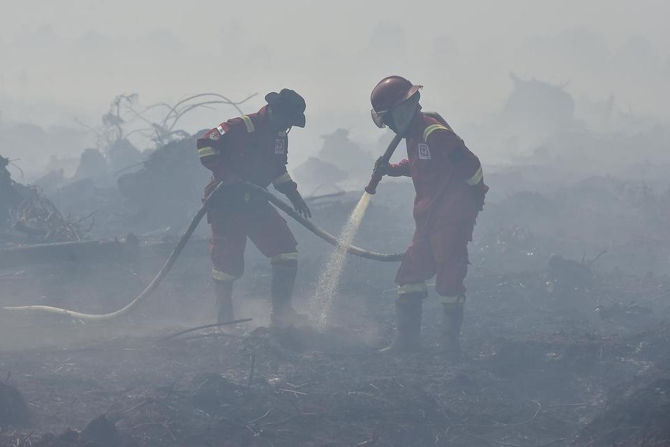 Petugas Manggala Agni Daops Kota Jambi memadamkan api kebakaran hutan dan lahan (karhutla) di lahan gambut Desa Gambut Jaya, Muaro Jambi, Jambi, Kamis (24/7/2025). Karhutla yang telah memasuki hari kelima tersebut sudah menghanguskan 250 hektare lebih lah