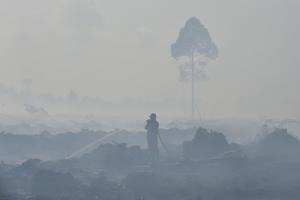Karhutla hari kelima di Muaro Jambi