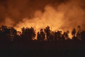 Kebakaran lahan di Ogan Ilir