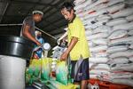 Stok beras nasional diprediksi bertambah satu juta ton