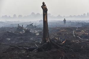 Antisipasi perluasan karhutla di Muaro Jambi