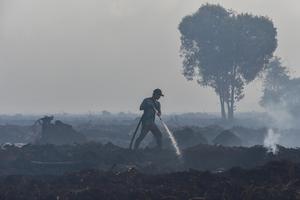 Antisipasi perluasan karhutla di Muaro Jambi
