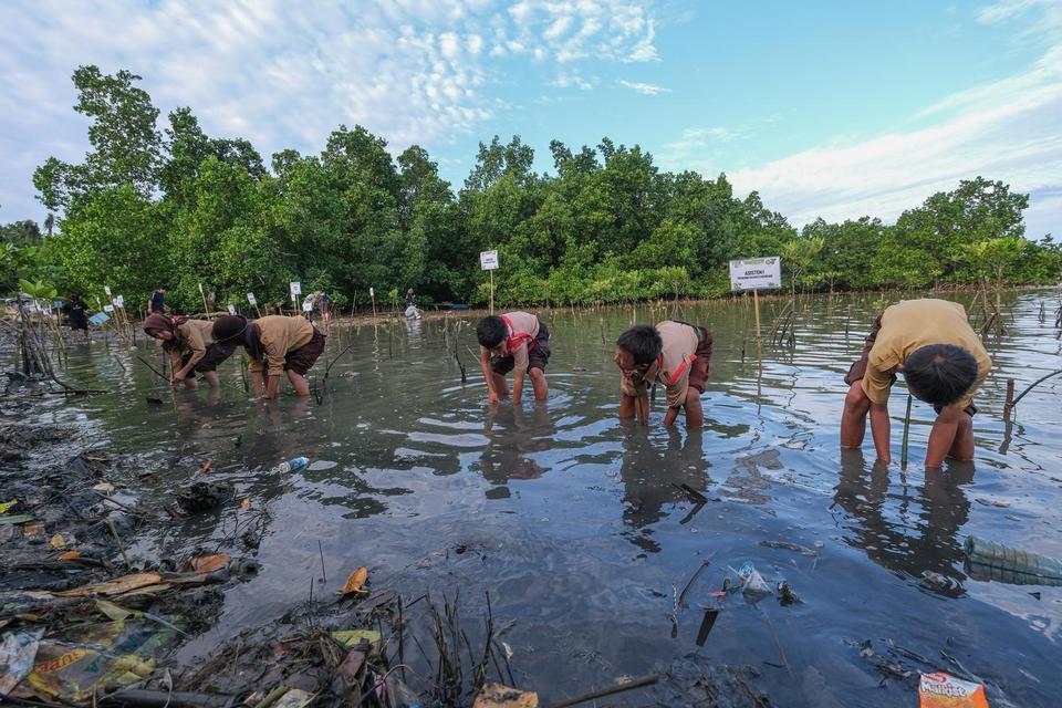 mangrove, ekonomi biru, pesisir