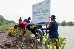 BRI bersama masyarakat tanam 10.000 pohon mangrove di pesisir Muara Gembong, Bekasi, sebagai bagian dari program BRI Menanam – Grow & Green untuk memu