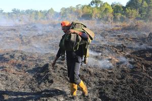 Kebakaran lahan gambut di Aceh Barat
