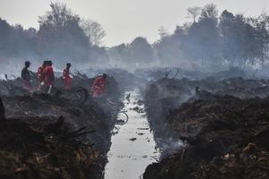 Pemadaman karhutla hari kesebelas di Muaro Jambi