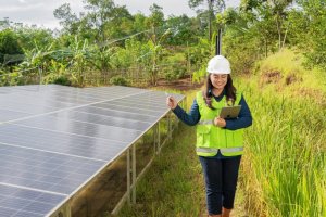 MIND ID berkomitmen mendukung swasembada pangan nasional dengan menjalankan program pemberdayaan petani.