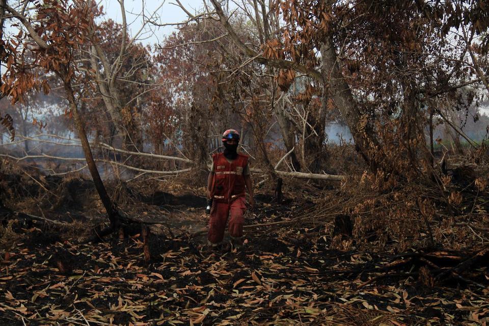 KLH, kebakaran hutan dan lahan, karhutla