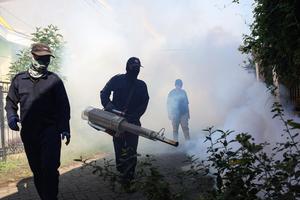 Program pengasapan untuk mencegah penularan DBD di Makassar