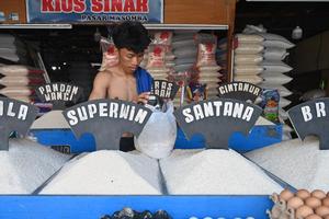 Haga beras di Palu kembali stabil