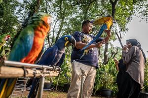 Pembukaan pameran Flona Jakarta 2025