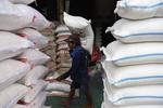 Harga beras premum dan medium naik secara nasional