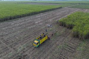 Percepatan swasembada gula nasional