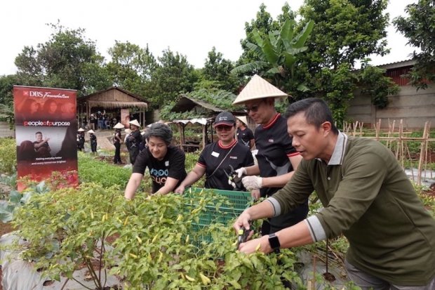 Bank DBS Indonesia Gerakkan Urban Farming Bantu Komunitas Rentan