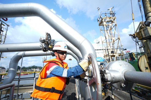 Pertamina, minyak jelantah, SAF