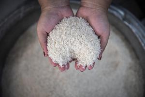 Kenaikan harga beras