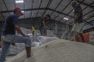 Stok beras nasional hingga akhir 2025
