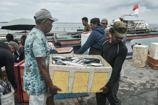 WTO Batasi Subsidi untuk Eksploitasi Penangkapan Ikan Berlebihan 