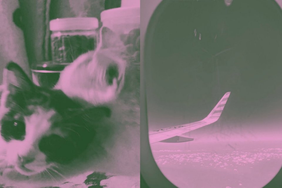 cara buat foto profil pink dan hijau, viral di media sosial foto profil pink dan hijau,