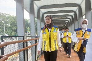 Dirjen Cipta Karya KemenPU, Dewi Chomistriana