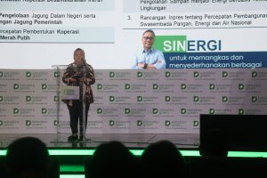 Katadata Safe 2025: Deputi bidang Keterjangkauan dan Keamanan Pangan Kemenko Pangan, Nani Hendiarti