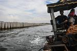 Proyek tanggul beton di perairan Cilincing Jakarta