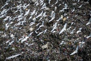 Strategi pengolahan sampah menjadi energi listrik