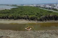 Potensi karbon biru Indonesia