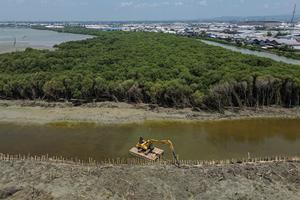 Potensi karbon biru Indonesia