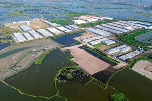 Rencana penetapan enam Kawasan Ekonomi Khusus Halal