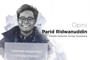 Parid Ridwanuddin
