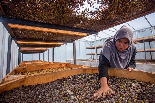 Srikandi arsitek kemandirian ekonomi di Lereng Ciremai