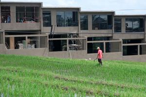 Gubernur Bali siapkan perda larangan alih fungsi lahan