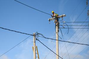 Rasio elektrifikasi dan desa berlistrik PLN di Sulteng