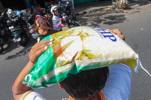 Realisasi penyaluran cadangan beras pemerintah